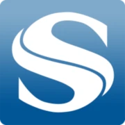 Logo Synergetics