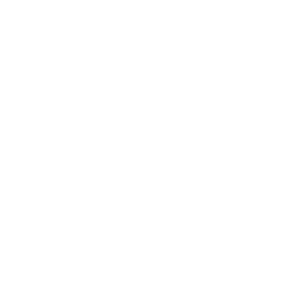 Logo Profidus