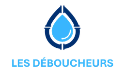 Logo Les déboucheurs