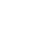Logo INTRIS