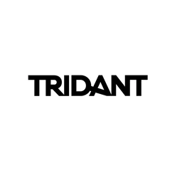 Logo TRIDANT