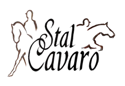 Logo STAL CAVARO