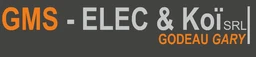 Logo GMS-ELEC & Koï