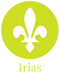 Logo INDEPENDENT RISK INSURANCE ADVISORY SERVICES