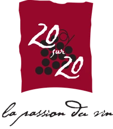 Logo 20 - 20  (20 SUR 20)