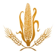 Logo MASELIS