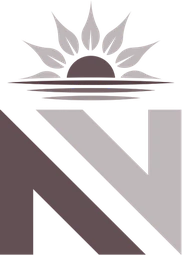 Logo NEXT STEP VISION