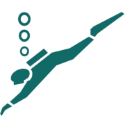 Logo Duikcentrum Dolphin Buddys
