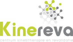 Logo KINEREVA