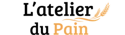 Logo DP PROJECT