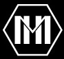 Logo BVH INVEST