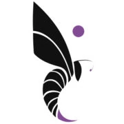 Logo APIX