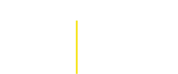 Logo Vlaamse DirigentenVereniging