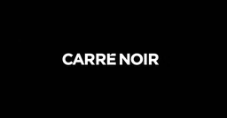 Logo CARRE NOIR