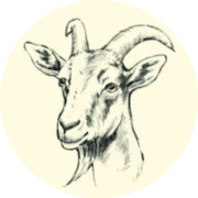 Logo 't Reigershof