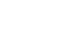 Logo insaIT
