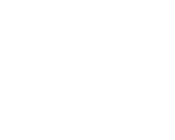 Logo ARGENTUM