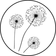 Logo Château de Lassus