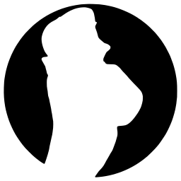 Logo Studio Vdx