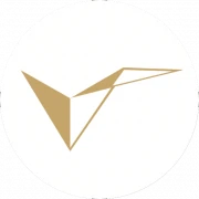 Logo V PARTNERS