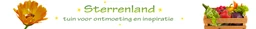 Logo STERRENLAND