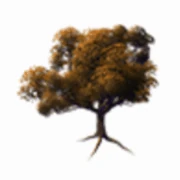 Logo ARBOR-TECH