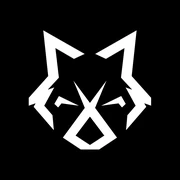 Logo Raccoon Motors