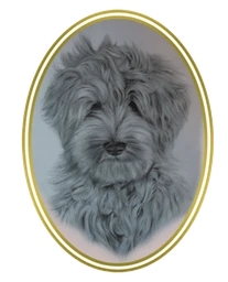 Logo COYA