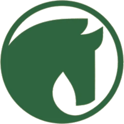 Logo DP MINERALS