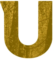 Logo UVOLVE
