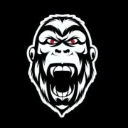 Logo Fitzilla