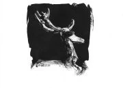 Logo BLANC CERF