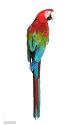 Logo COLLECTIF LIBERTALIA