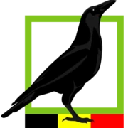 Logo RAVEN HUNTING