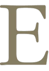 Logo ELYZA