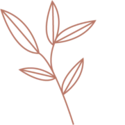 Logo BOULANGERIE DU VIEUX MARCHE