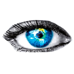 Logo DMS