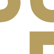 Logo BulP