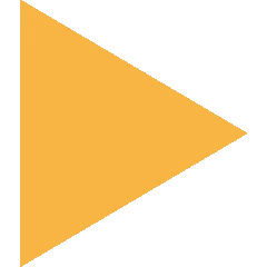 Logo FLEXAMIT