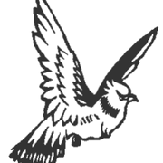 Logo VZW HET FESTIJN