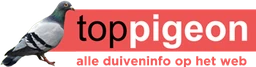 Logo TOPI