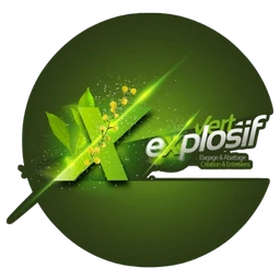 Logo VERT EXPLOSIF