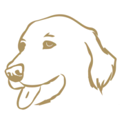 Logo BICO TRADING