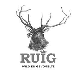 Logo RUIG