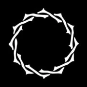 Logo Scaturrex