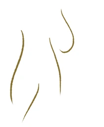 Logo Kathelijne Janssens