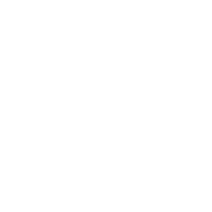 Logo RAPID SERVICES