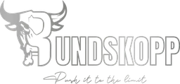 Logo RUNDSKOPP