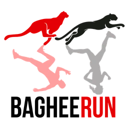 Logo BagheeRun