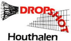 Logo Dropshot